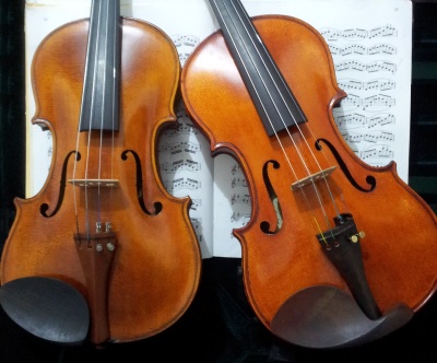 My Lovely Violins, Brefcia and Sagezza